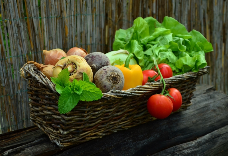Blog sur la cuisine végétale saine et bio : Saveurs végétales