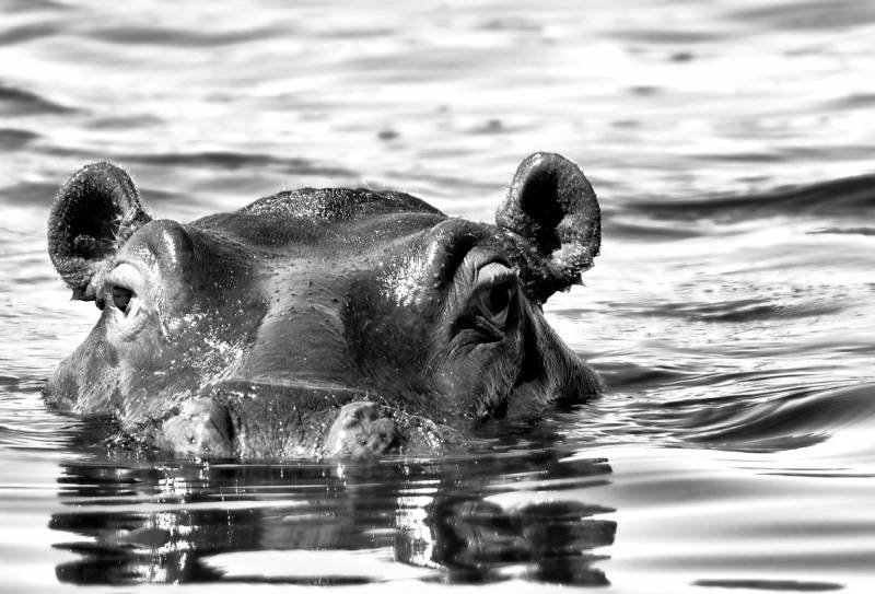 Magazine Marseille Entre Nous 