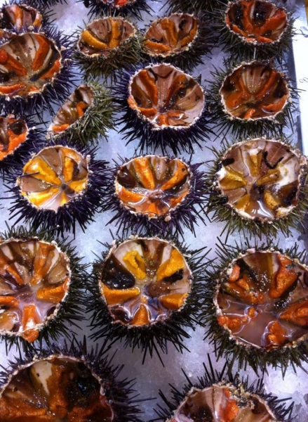 Restaurant et poissonnerie de qualité Marseille Pierrot coquillages