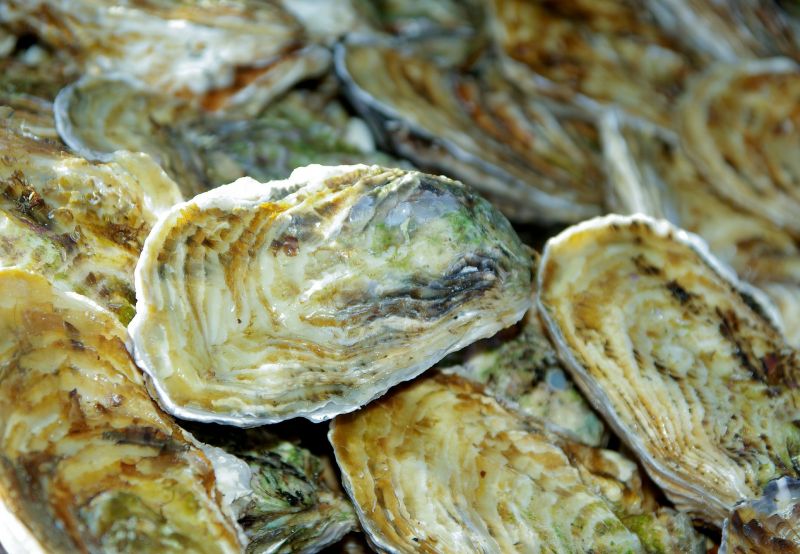 Restaurant de poisson et fruits de mer à Carry le Rouet : Le Scoop